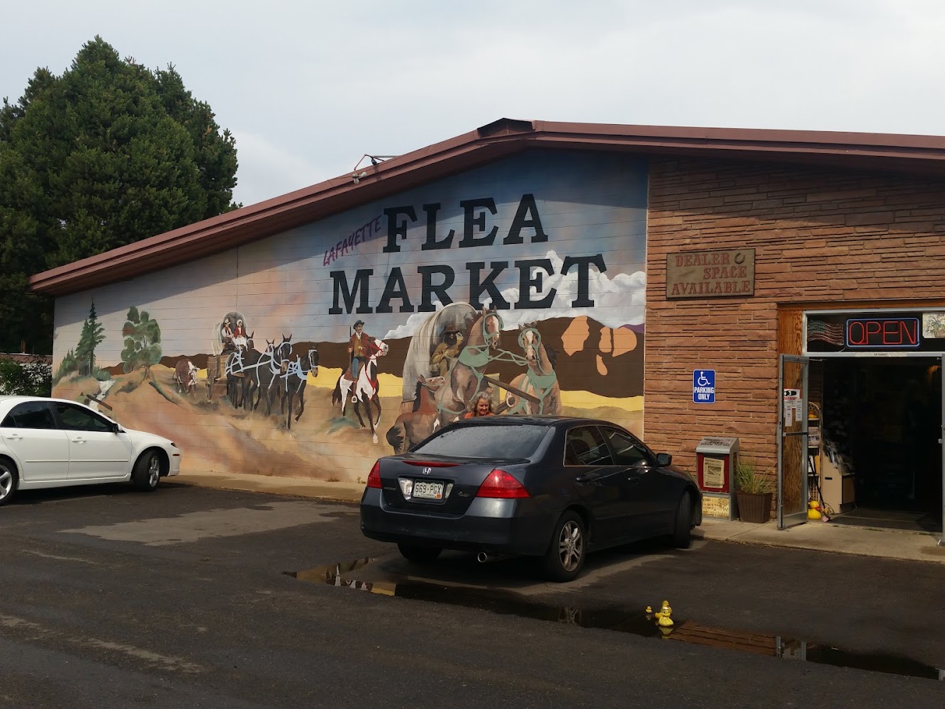 The Lafayette Flea