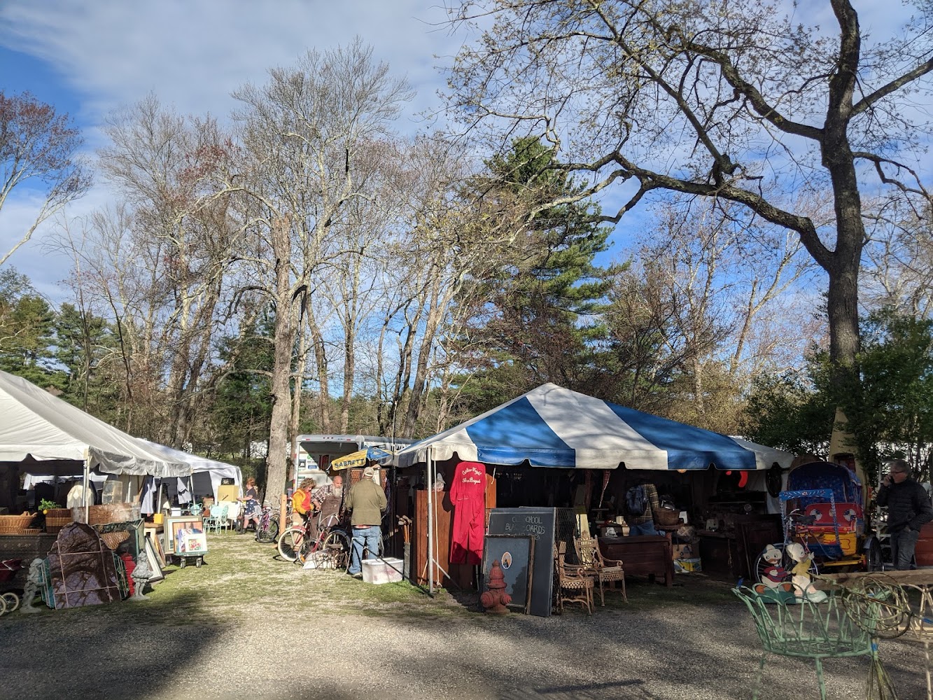 Shelton Antique Shows